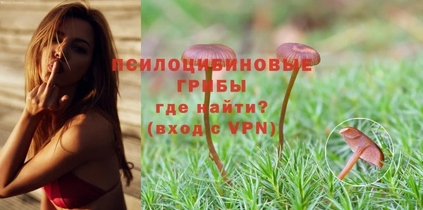 дмт Волоколамск