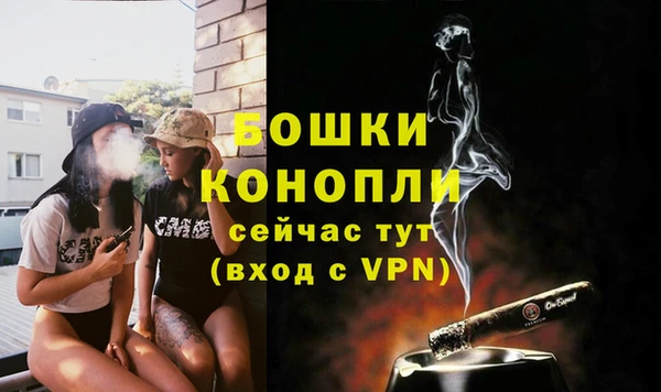 стаф Волосово