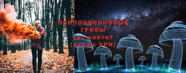 стаф Волосово