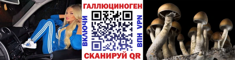 Псилоцибиновые грибы GOLDEN TEACHER  где купить   Камышлов 
